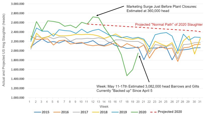 Figure 1. Actual&nbsp;and Projected US Hog Slaughter by Week, 2015 &ndash; 2020. SOURCE DATA: USDA NASS Slaughter Survey and AMS LM_HG201
